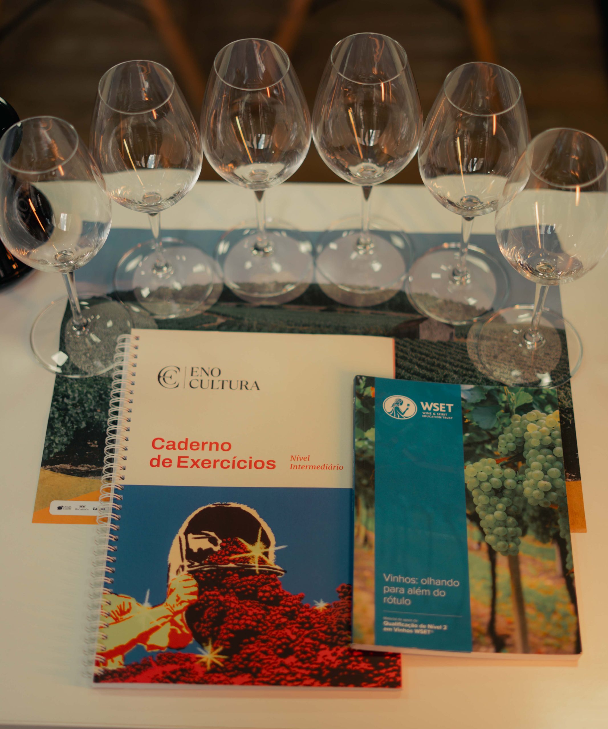 WSET | Nível 2 | Presencial - Imagem 4