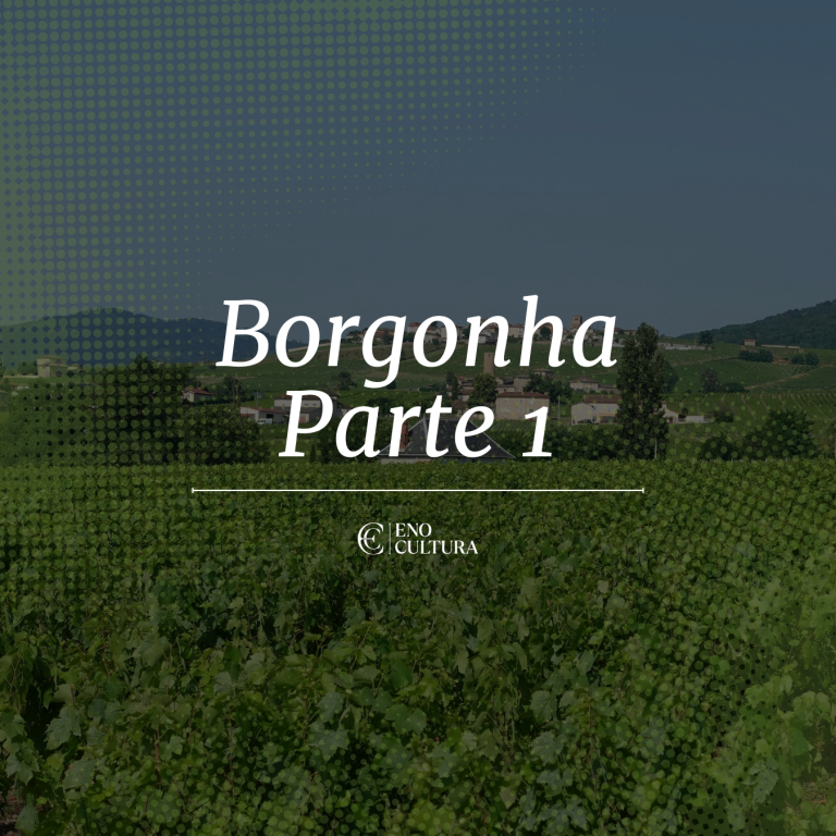 Borgonha