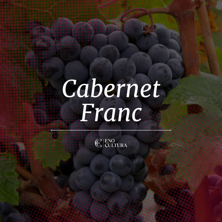 Carbenet Franc