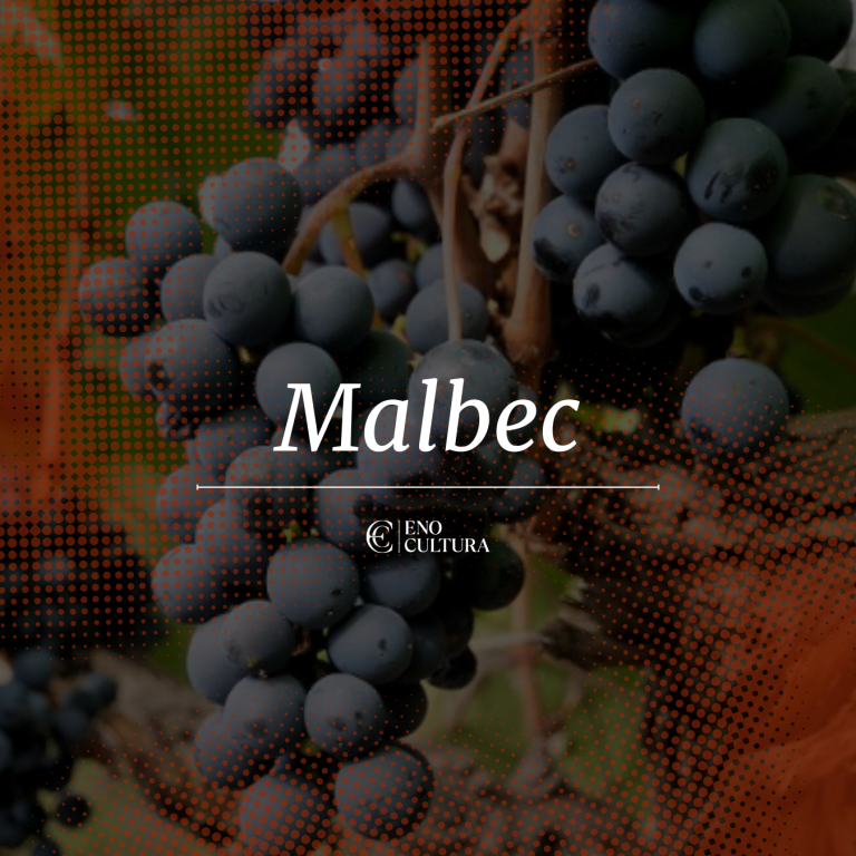 Malbec