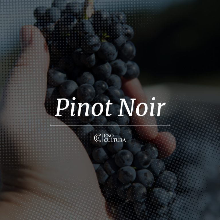Pinot Noir