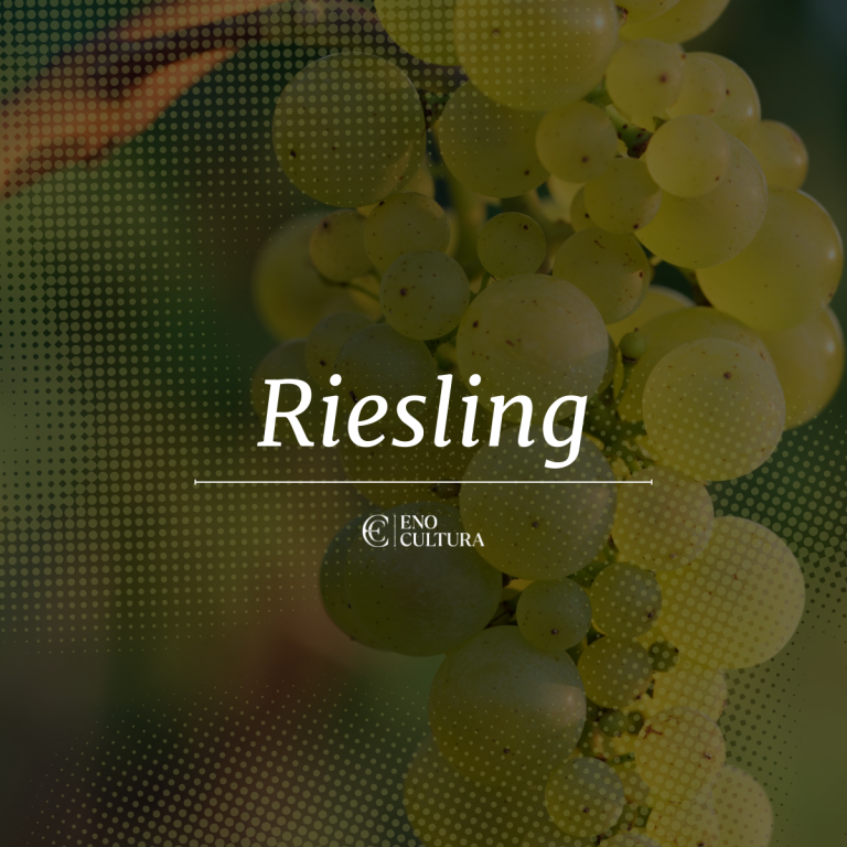 Riesling