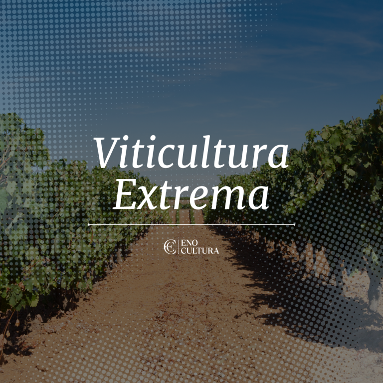 Viticultura Extrema
