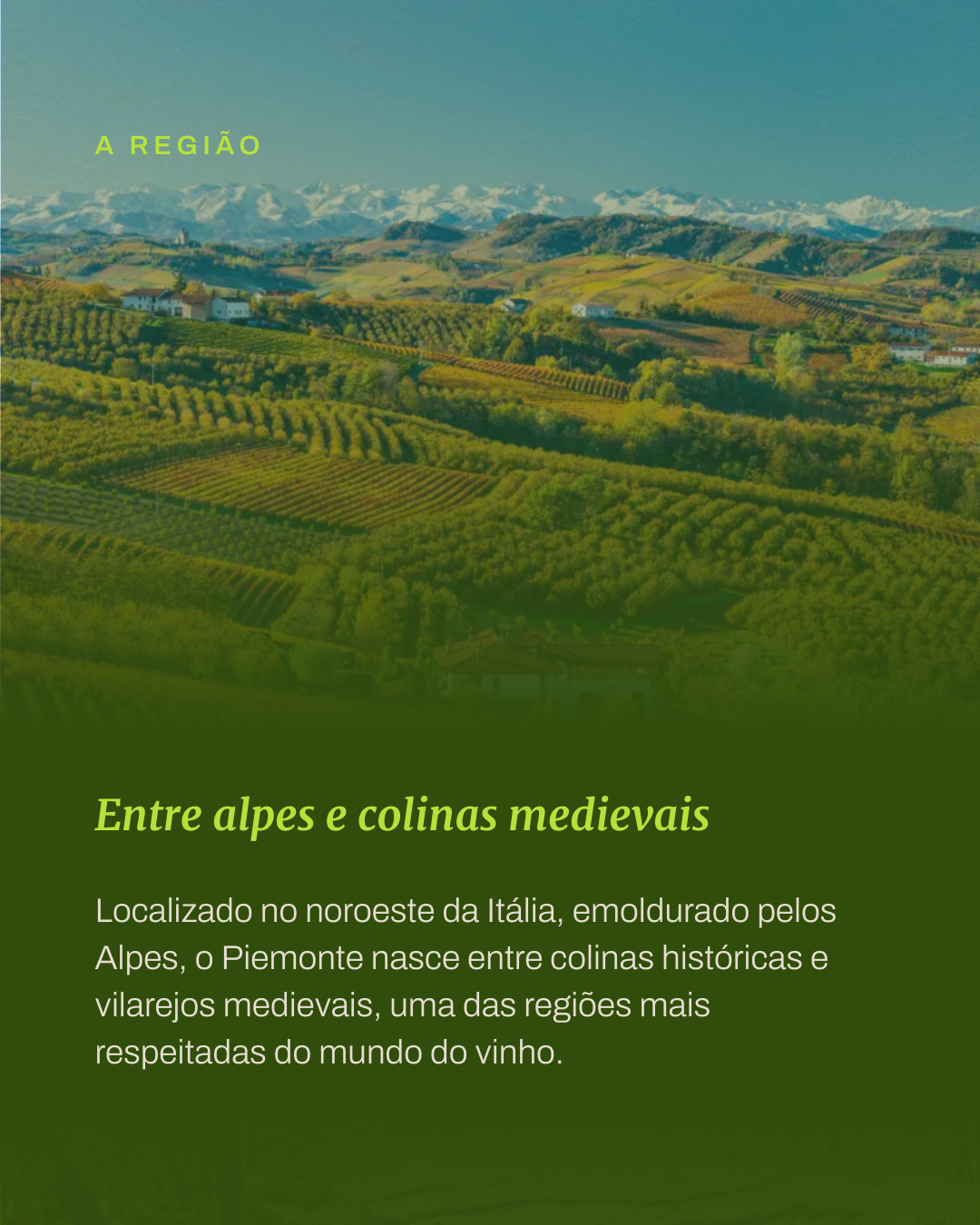 Eno Cultura Clássicos | Piemonte: A nobreza do vinho italiano - Imagem 2
