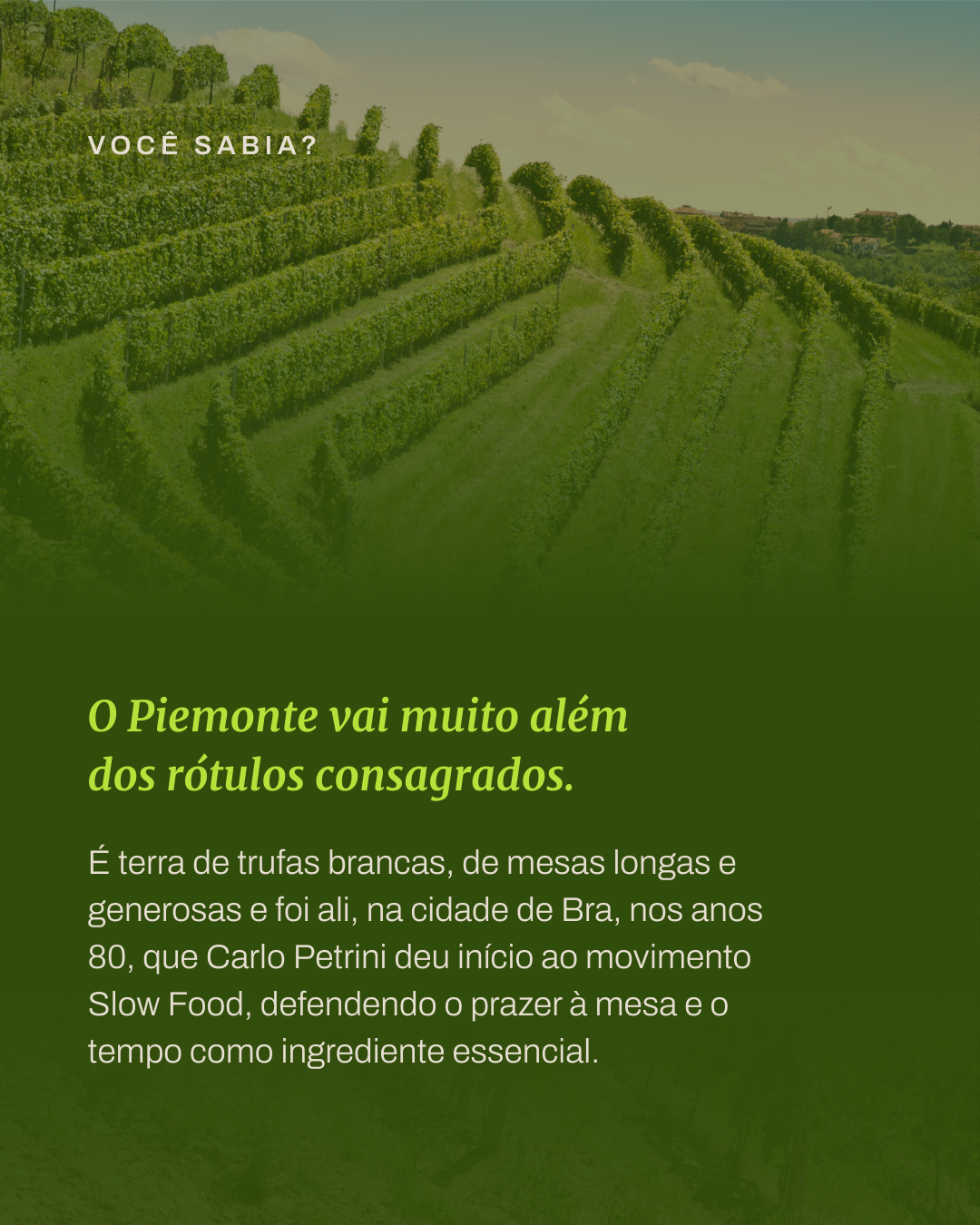 Eno Cultura Clássicos | Piemonte: A nobreza do vinho italiano - Imagem 5