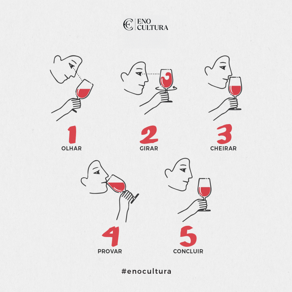 Infográfico com fundo claro mostrando 5 etapas da degustação de vinho através de ilustrações em linha: 1. Olhar (observando a cor), 2. Girar (movimentando a taça), 3. Cheirar (sentindo o aroma), 4. Provar (bebendo o vinho) e 5. Concluir (avaliando a experiência). No topo, o logo da Eno Cultura.