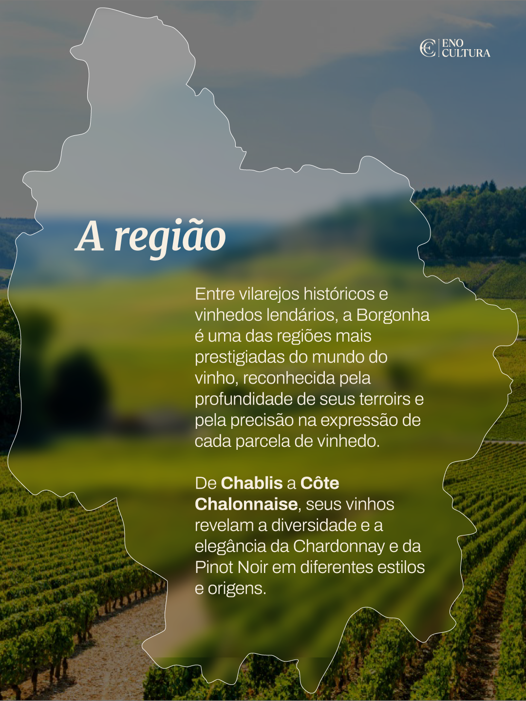 Eno Cultura Clássicos | Uma Viagem pela Borgonha - Imagem 2