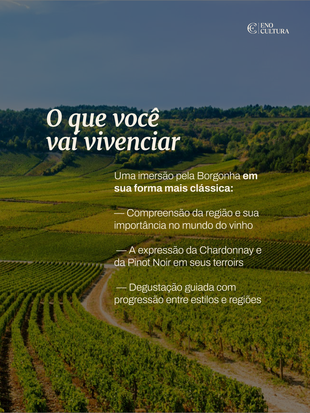 Eno Cultura Clássicos | Uma Viagem pela Borgonha - Imagem 3