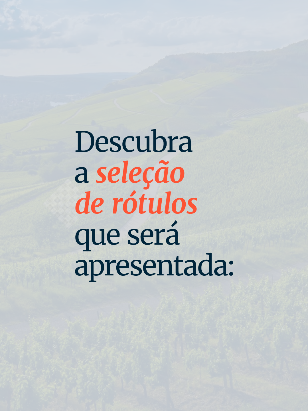 Eno Cultura Clássicos | Uma Viagem pela Borgonha - Imagem 4