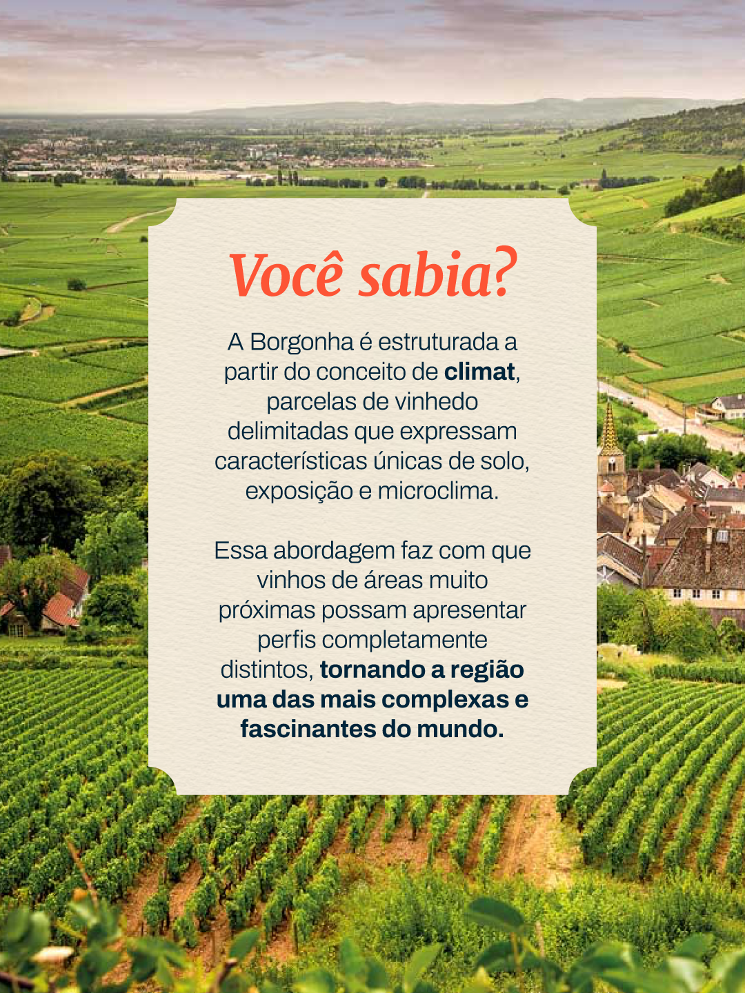 Eno Cultura Clássicos | Uma Viagem pela Borgonha - Imagem 7